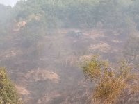 МС отпуска по 15 000 лв. еднократно за семействата на загиналите в пожар горски служители