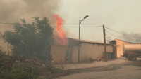 42 души са загинали при горски пожари в Алжир