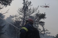 Вучич праща сръбски хеликоптери да гасят пожарите в Гърция