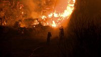 МВнР: Нови пожари от мълнии в Гърция, ситуацията остава сложна