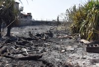 Извънредно положение в Сицилия заради пожарите