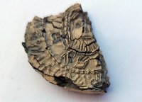 Откриха оловен печат на княз Борис-Михаил в Плиска