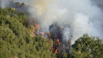 Над 19 000 горски пожара са регистрирани у нас до момента