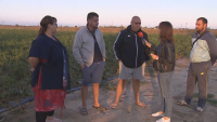 След градушката в Пловдивско: 64 хектара реколта е унищожена напълно
