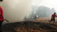 снимка 1 Храсти и сухи треви горят край Хаджидимово (Видео + Снимки)