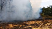 снимка 4 Храсти и сухи треви горят край Хаджидимово (Видео + Снимки)