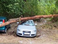 Силна буря в Ловеч нанесе щети и спря тока (СНИМКИ)