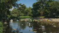 За чиста природа: Доброволци почистват поречието на река Струма край Кюстендил