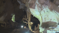 14 вида прилепи в пещерата "Орлова чука"