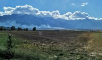 Пожарът в местността "Бетоловото" отново се разгоря