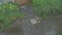 По зрителски сигнал: Отпадни води заливат къщи във вилна зона в София