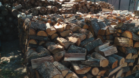 Ще има ли недостиг на дърва за огрев през зимата?