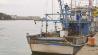 В Деня на Черно море рибари направиха кампания за почистването му
