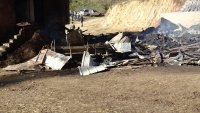 снимка 2 20 крави и тонове фураж изгоряха при пожар в Якоруда (СНИМКИ)