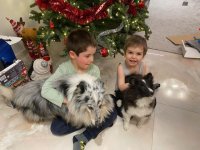 Борисов: Вкъщи с внуците е най-хубавото време