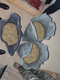 11 кг марихуана и антични монети откри полицията в къща в с. Сечище (Снимки)