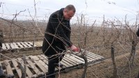 Иван Иванов: Лозаро-винарският сектор е приоритет за Министерството на земеделието
