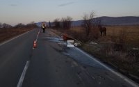 Жена загина при катастрофа между ТИР и каруца на пътя Руен-Просеник