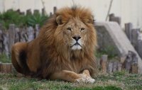 Вход свободен в Столичния зоопарк по повод Трети март