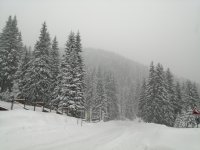 Над 20 сантиметра е новата снежна покривка в Смолянско
