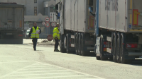 Съюзът на транспортните работници: Опашките с камиони по границите не са нещо ново