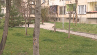 Започва пролетното почистване в София
