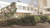 Обявиха частично бедствено положение във Враца заради ураганния вятър