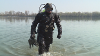 Как се вадят мини и снаряди от вода? Военни водолази направиха демонстрация в Дунав