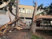 Във Враца продължава разчистването на щетите от ураганния вятър