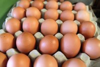 НАП с денонощно наблюдение на производители и търговци на яйца и агнешко около празниците