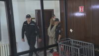 Бившият румънски министър Елена Удря остава в ареста