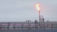 Канцлерът на Австрия: Фалшива новина е, че сме приели да плащаме за руския газ в рубли