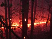 Голям горски пожар бушува над село Илинденци