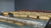 Хлебозаводите в Белослав може да спрат работа, ако няма доставки на газ