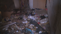 Самонастанили се в изоставена сграда тормозят квартал във Варна