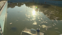 Подпочвени води заляха аквапарка в Благоевград