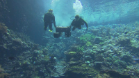 Спасяване на коралите: Нидерландска компания създаде биоразградим риф