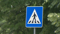 Опасна пешеходна пътека в Пловдив