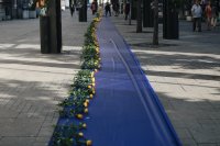 снимка 1 Столичната община постави специална инсталация: 100-метрово синьо платно в центъра на София