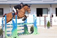 Димана Колева: Европейската лига по конен спорт е напълно нов проект