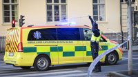 Най-малко двама ранени при атака с нож в Швеция