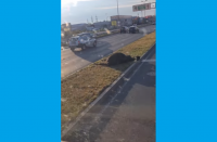 Кола удари пресичаща крава на Околовръстното в София