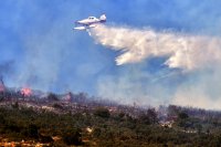 Над 50 горски пожара бушуват в Гърция
