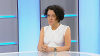 Антоанета Цонева: "Демократична България" никога няма да подкрепи хартиените бюлетини