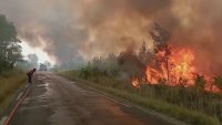 Жега в Европа: Горещините взеха жертви в Испания, горски пожари в Гърция и Франция