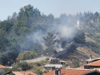 Пожар гори в близост до зоопарка в Благоевград