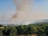 Локализиран е пожарът в община Калояново