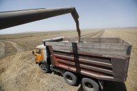 Войната: Киев може да започне износа на зърно още утре. Русия организира собствен трибунал за военни престъпления