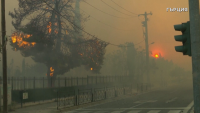 Горещини, пожари и стотици евакуирани в Южна Европа