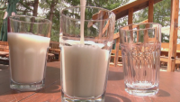 Киргизстан привлича туристи с кобилешко мляко